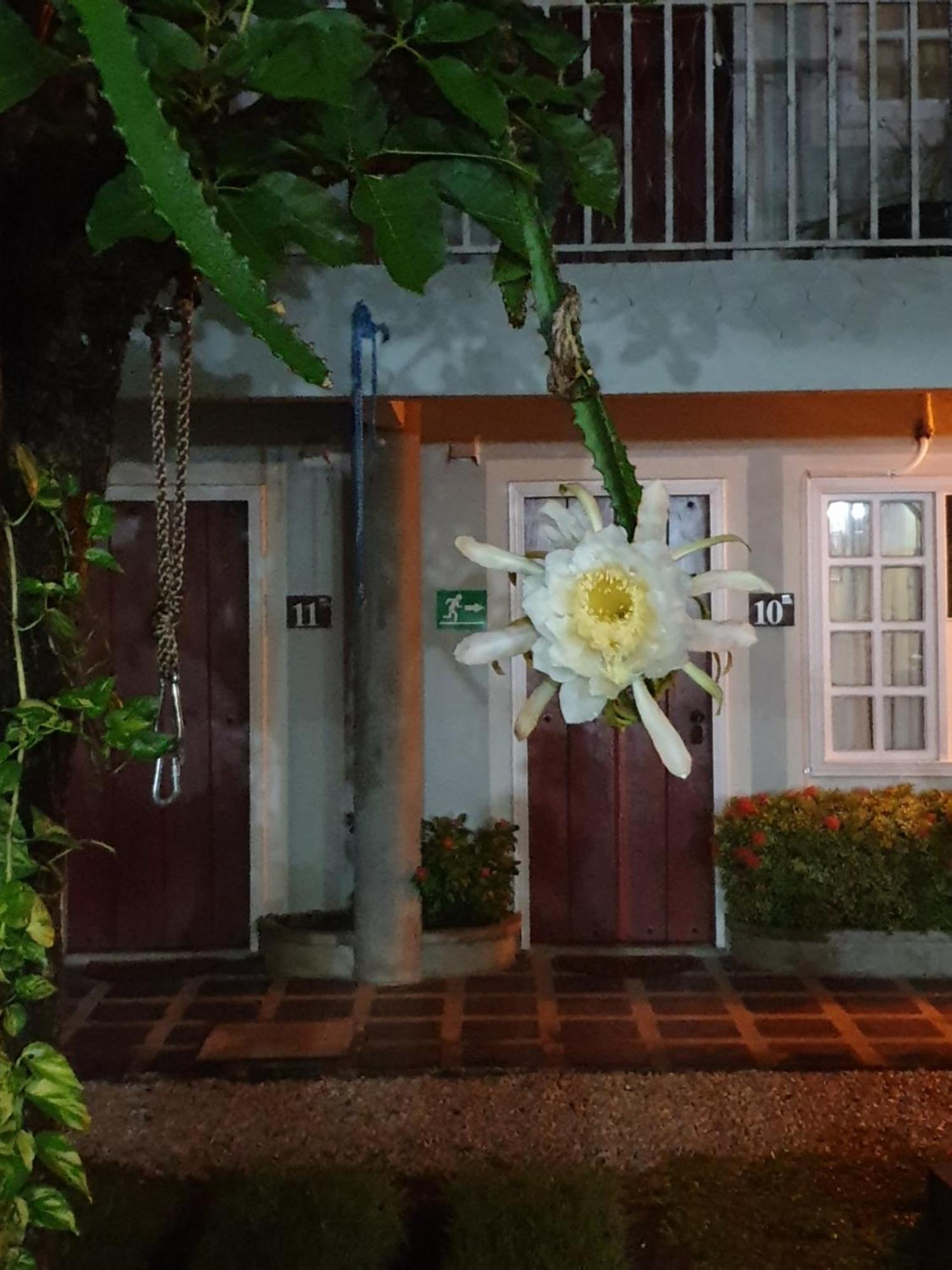 Hotel Liberia Εξωτερικό φωτογραφία