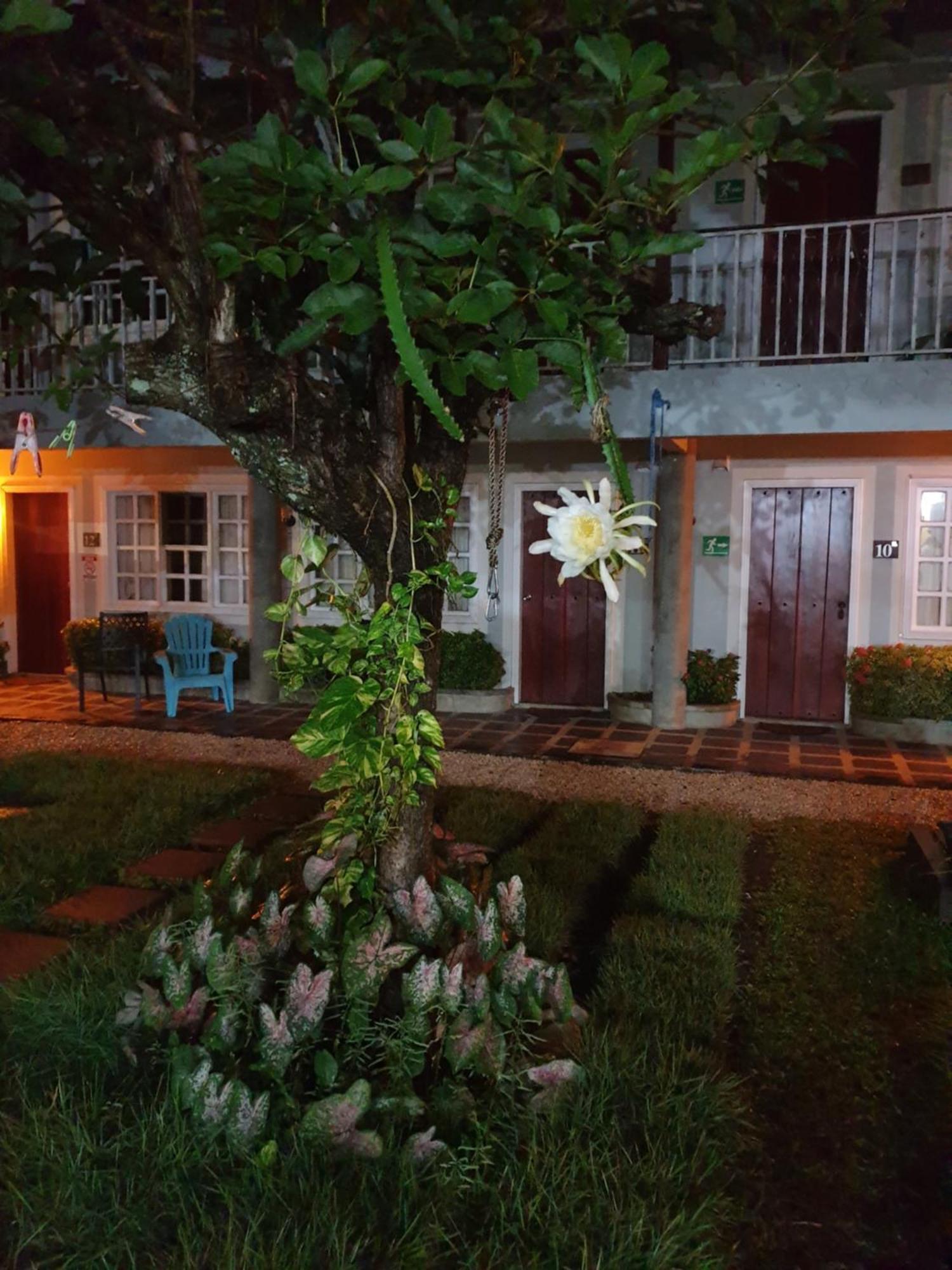 Hotel Liberia Εξωτερικό φωτογραφία